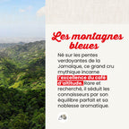 Café moulu Blue Mountain Jamaïque - 2