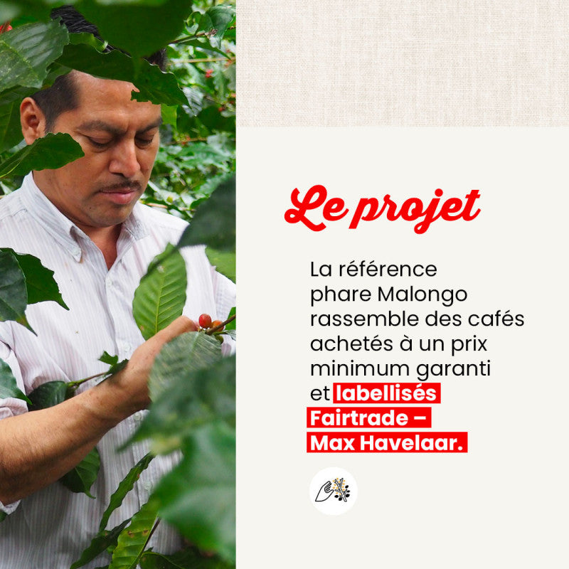 Café moulu Petits Producteurs L'intensité - 12 boites - 2